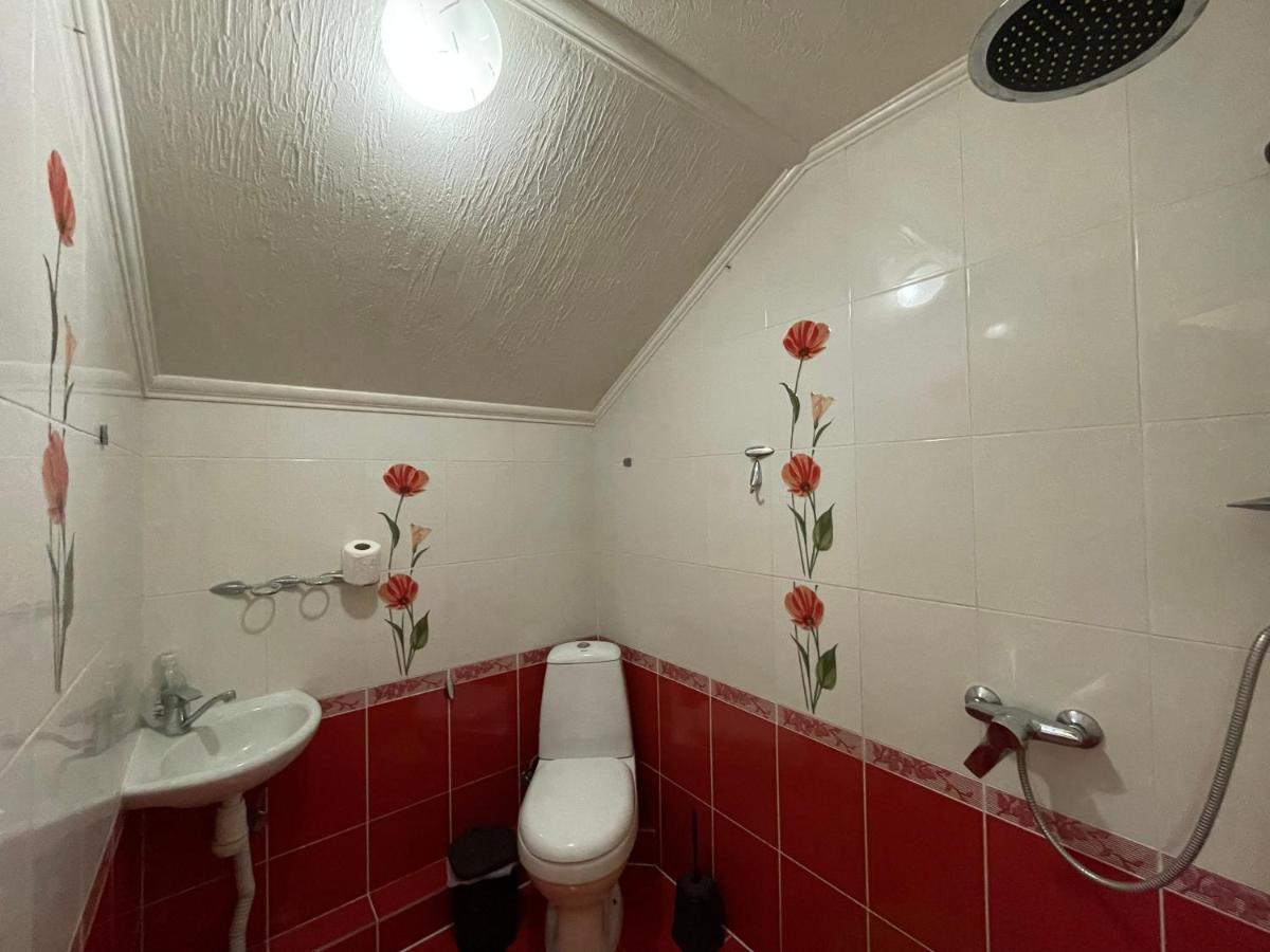 Villa Aeroport Розовый Дом Chişinǎu Buitenkant foto